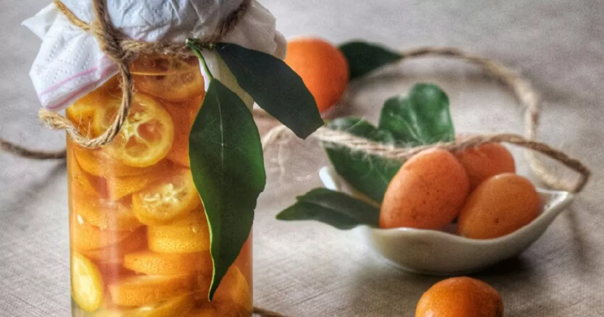 طرز تهیه ترشی کامکوات حلقه‌ای