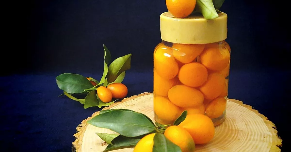 طرز تهیه ترشی پرتقال کوچک (ترشی پرتقال زینتی / کامکوات کامل)