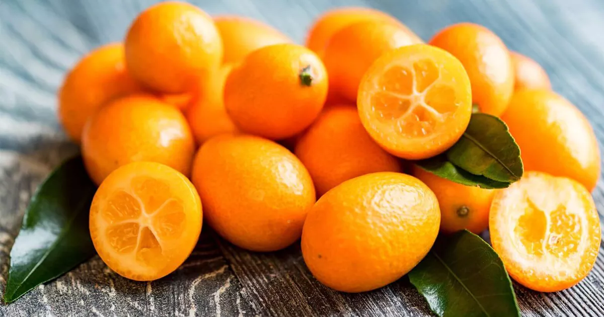 فواید کامکوات برای سلامتی