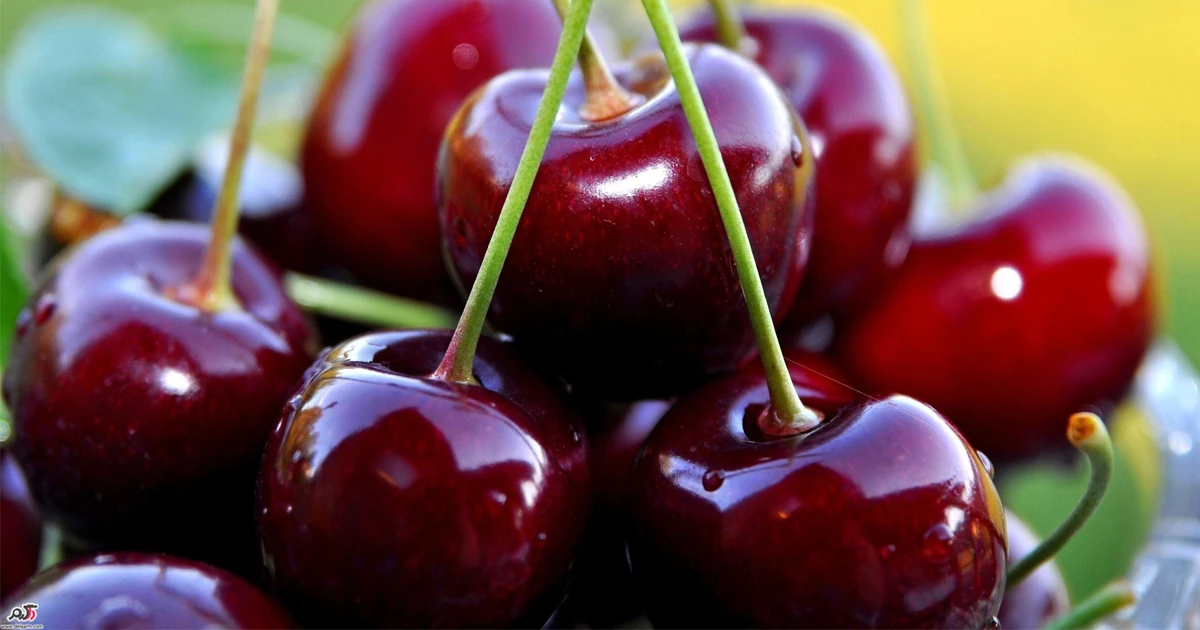 شاخص گلیسمی گیلاس