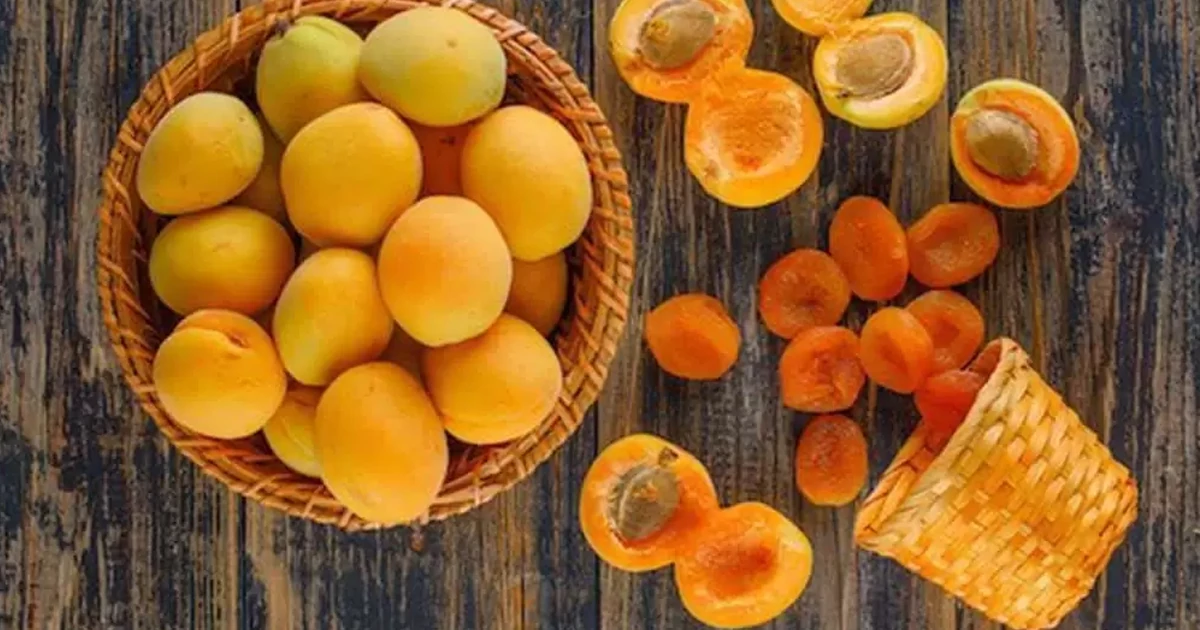شاخص گلیسمی زردآلو خشک