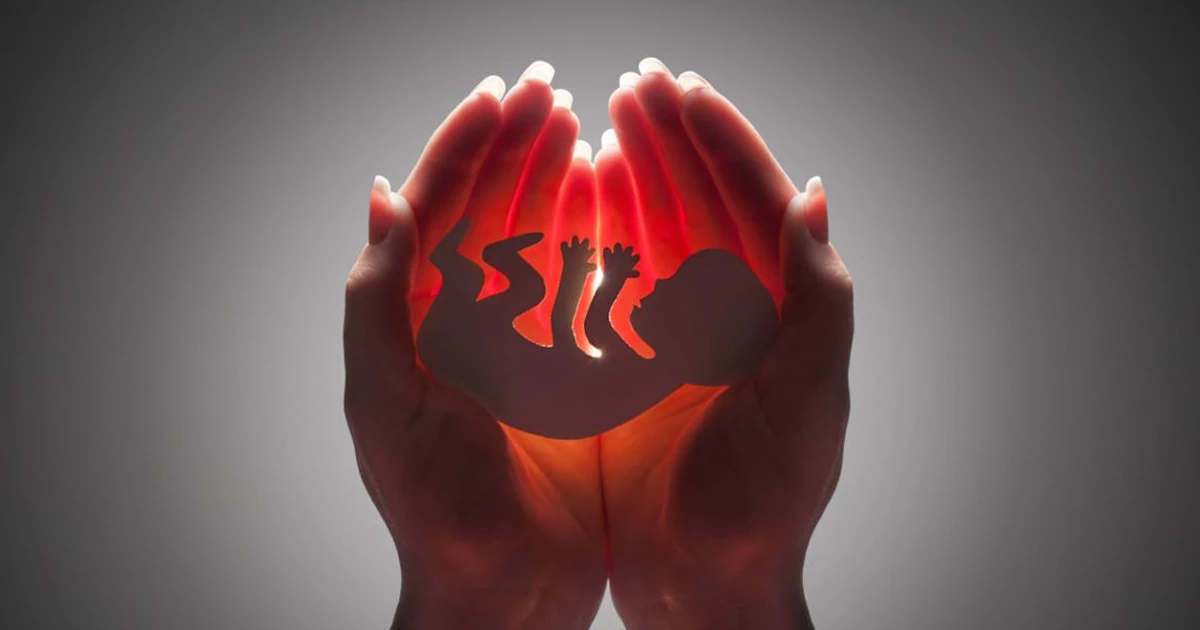 روش‌های کمک باروری؛ آخرین گام درمان ناباروری