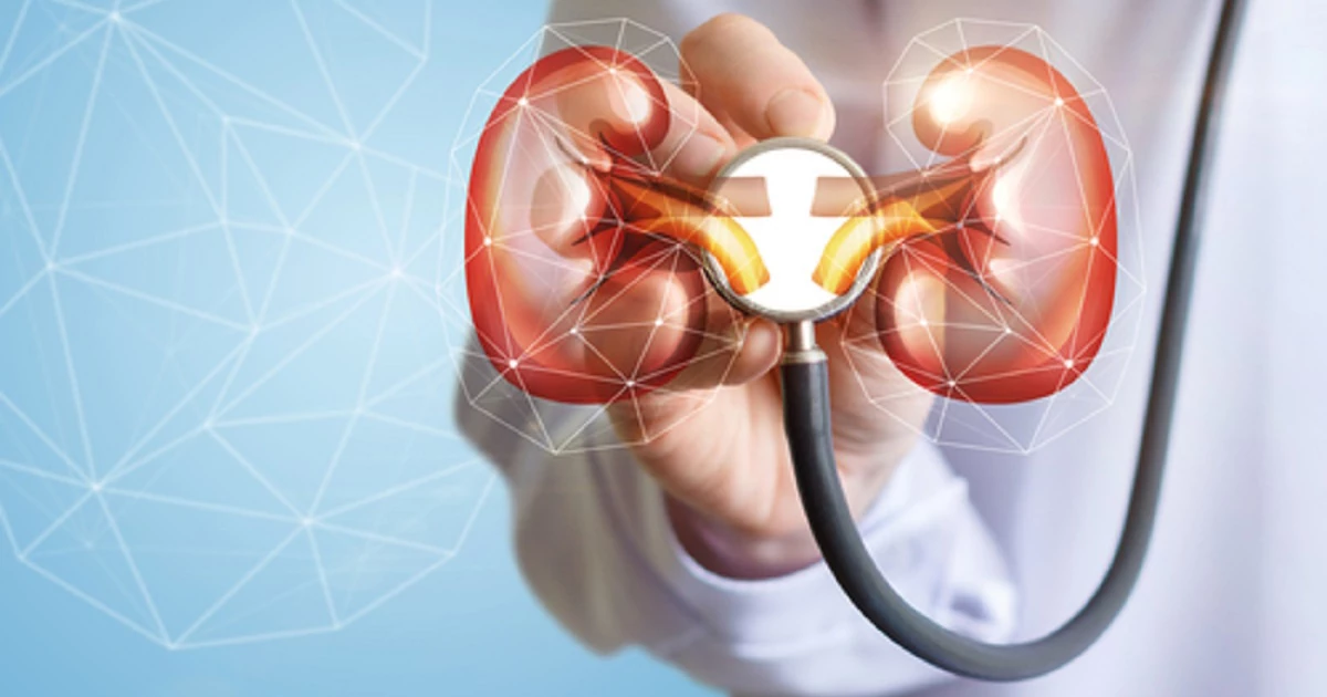 اهمیت کنترل فشار خون برای سلامت کلیه