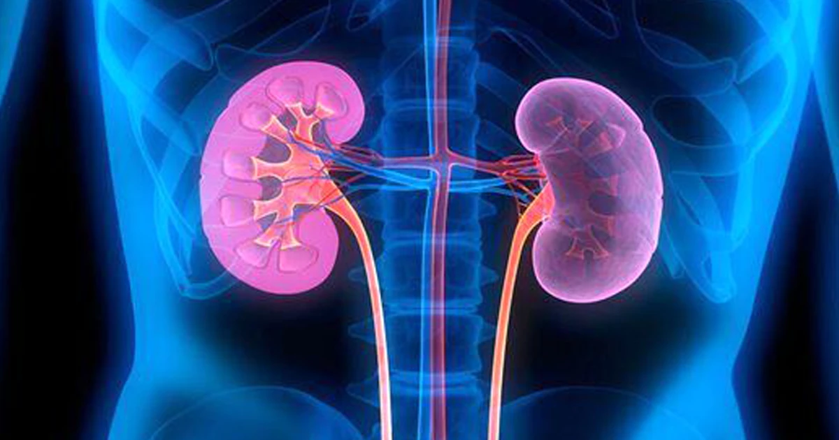 راهکارهای کنترل فشار خون و حفظ سلامت کلیهها