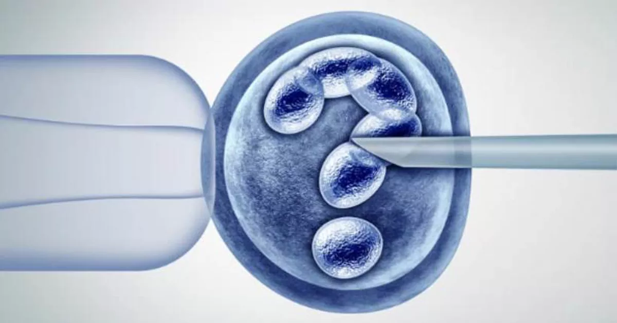 روش لقاح آزمایشگاهی یا آی وی اف (IVF) از روشهای درمان ناباروری