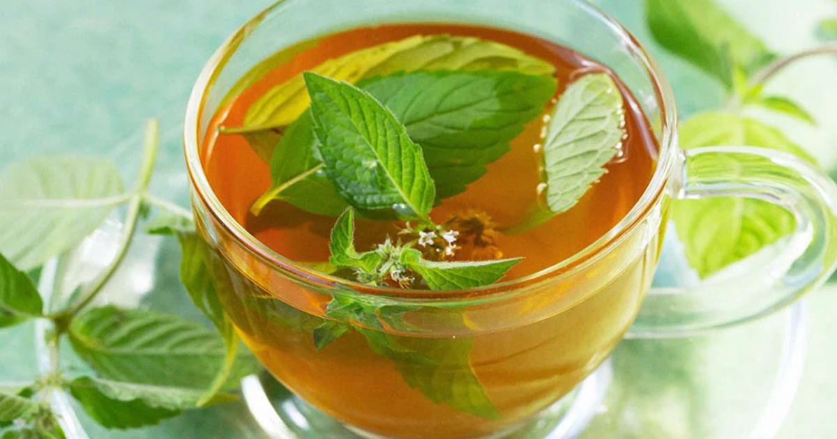  دمنوش نعناع
