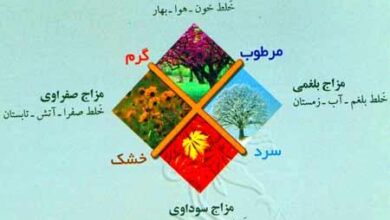 چگونه مزاجمان را بفهمیم؟