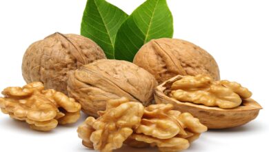 خواص معجزه آسای گردو