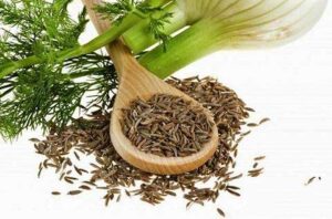 با همه خواص گیاه رازیانه آشنا شوید./خواص رازیانه برای خانمها