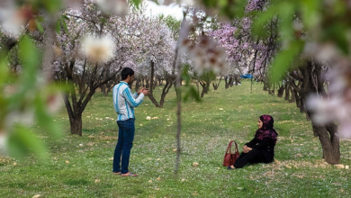 نرم نرمک می رسد اینک بهار / بهار فرصتی برای بخشش