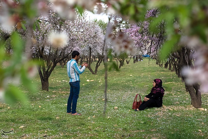 نرم نرمک می رسد اینک بهار / بهار فرصتی برای بخشش