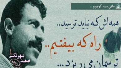 ماهی سیاه کوچولو صمد بهرنگی