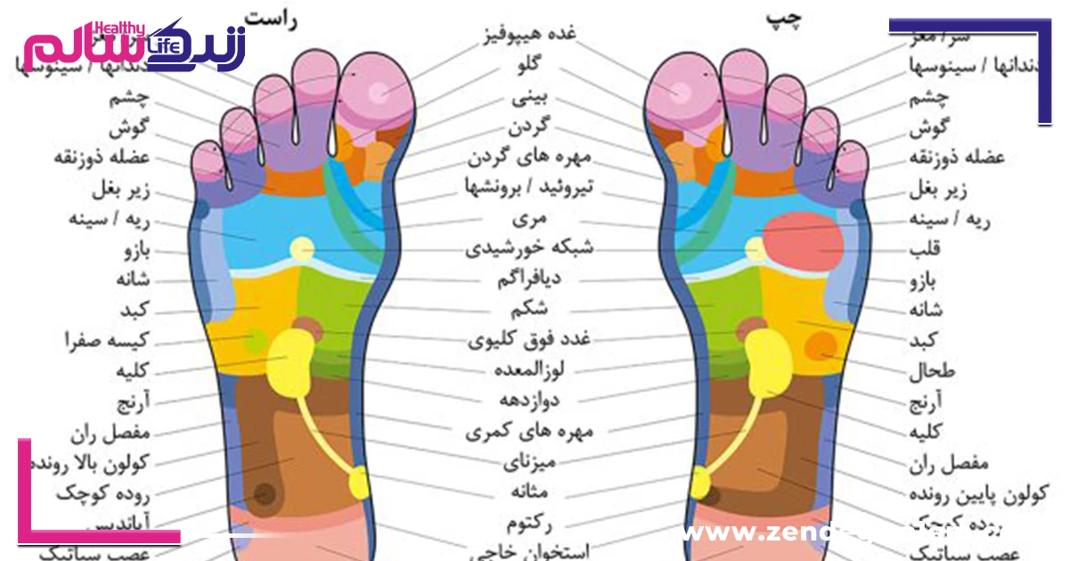 نقش پا در سلامت کل بدن