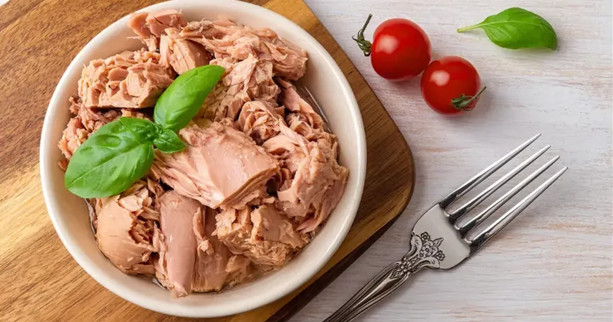 تن ماهی؛ پروتئینی سرشار از امگا ۳
