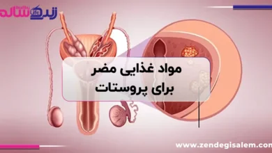 مواد غذایی مضر برای پروستات؛ ۱۳ خوراکی که بهتر است کمتر مصرف کنید