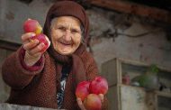 خوشحال کردن مادربزرگ ها در دوره کرونا