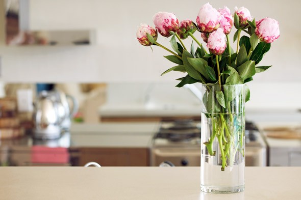 ۴ دلیل برای داشتن گلهای تازه در خانه