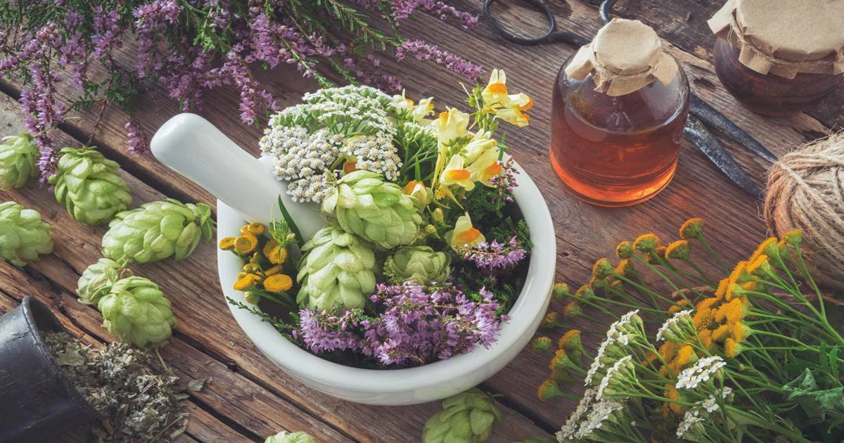 ۵. مصرف گیاهان دارویی