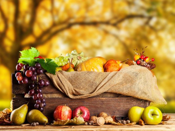 رژیم غذایی در پاییز