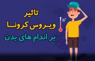 ویروس کرونا به احتمال زیاد این شش اندام را در دراز مدت تحت تاثیر قرار می‌دهد