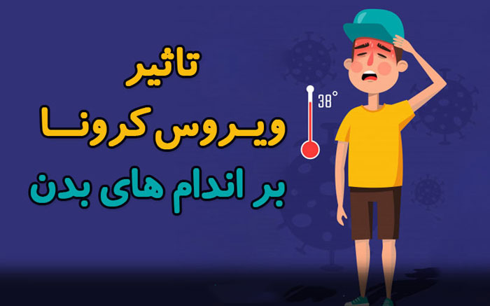 تاثیر کرونا بر اندام بدن