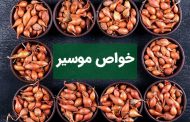 همه چیز درباره موسیر
