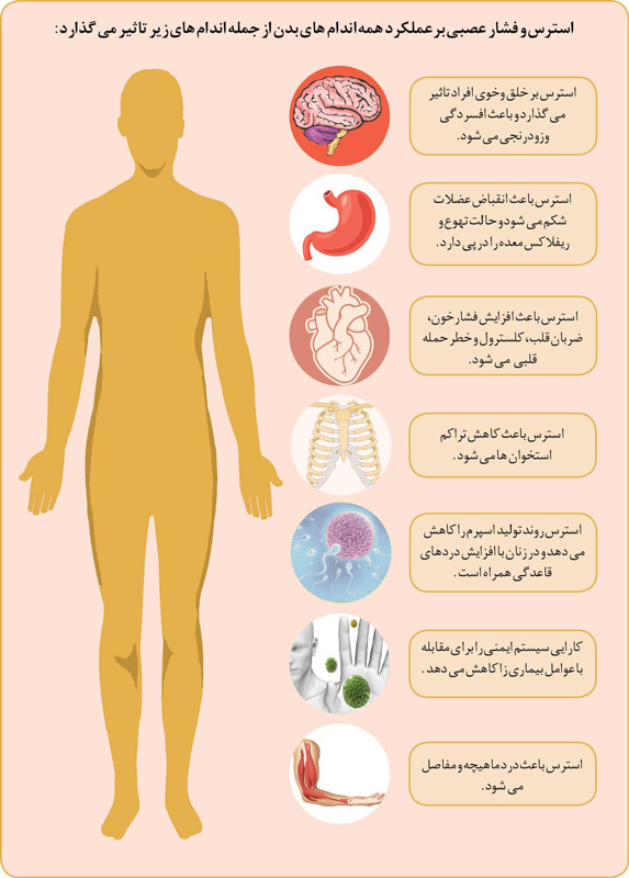 استرس چگونه روی بدن اثر میگذارد؟