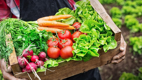 6 مورد از سبزیجات زمستانی سالم و مفید