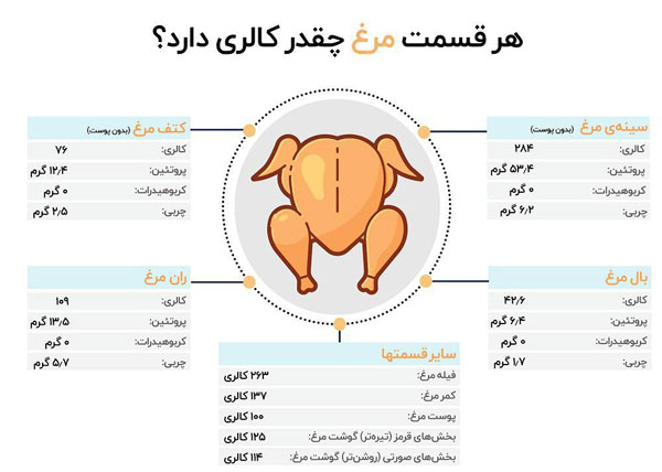 پروتئین قسمتهای مختلف مرغ