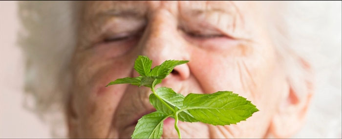 آلزایمر و از دست دادن بویایی