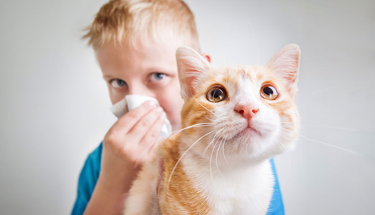 عفونت‌های ناشی از در تماس بودن با گربه‌ها
