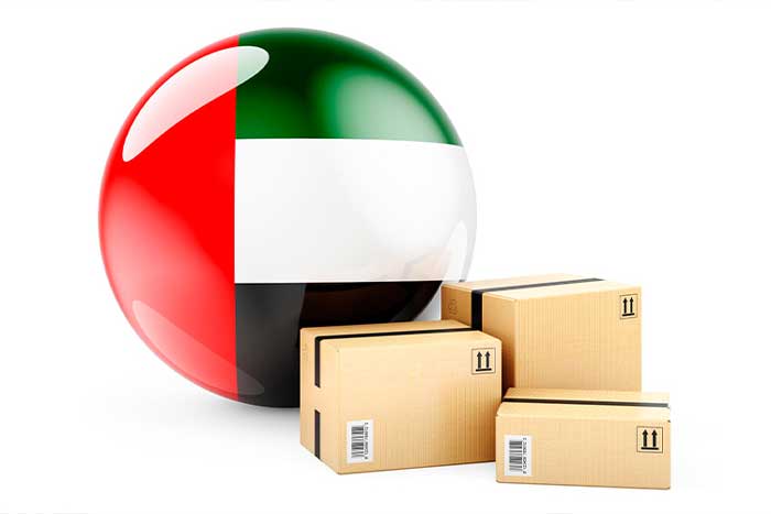چالش‌ و هزینه های واردات از دبی