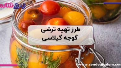 طرز تهیه ترشی گوجه گیلاسی