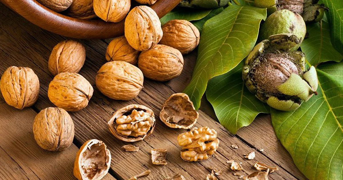 گردو؛ منبع امگا ۳ برای پوست ملایم و بی‌نقص