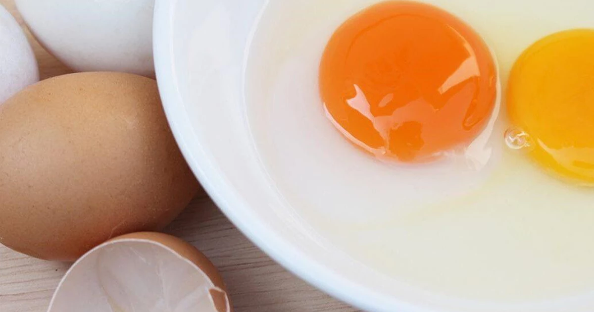زرده تخم‌مرغ (Egg Yolk)