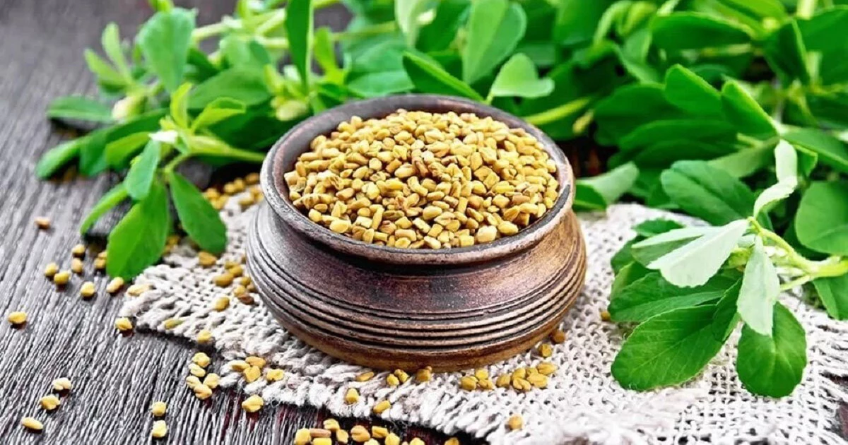 دانه شنبلیله
