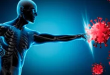 چگونه در دوران استرس از سیستم ایمنی خود محافظت کنیم؟