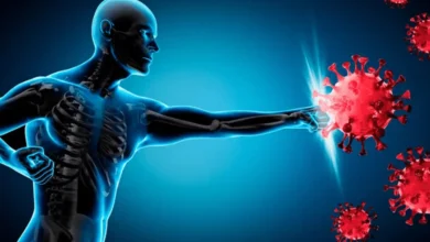 چگونه در دوران استرس از سیستم ایمنی خود محافظت کنیم؟