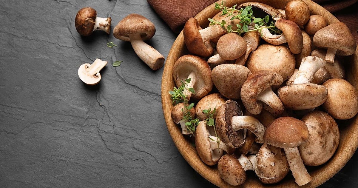 قارچ؛ منبع پروتئین گیاهی و محافظ مغز