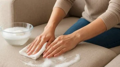 تمیز کردن مبل پارچه‌ای با صابون