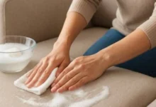 تمیز کردن مبل پارچه‌ای با صابون