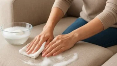 تمیز کردن مبل پارچه‌ای با صابون