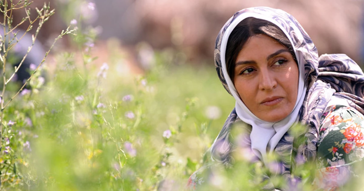  شیار ۱۴۳. بهترین آثار سینمایی با محوریت زنان