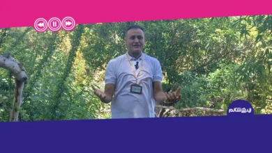 اصول صحیح پیاده‌روی در طبیعت