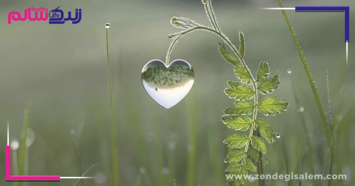 تغذیه روح، بزرگترین نیاز انسان معاصر