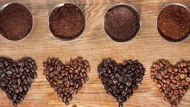 فرآوری سنتی قهوه