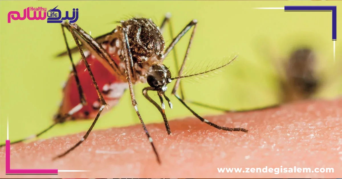 درمان سالک: تشخیص زود هنگام و رایگان در اصفهان