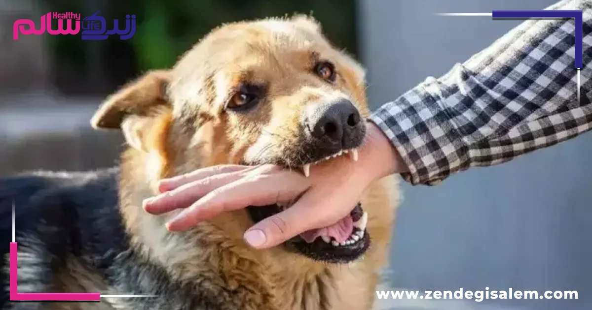 سگ گزیدگی و واکسن هاری