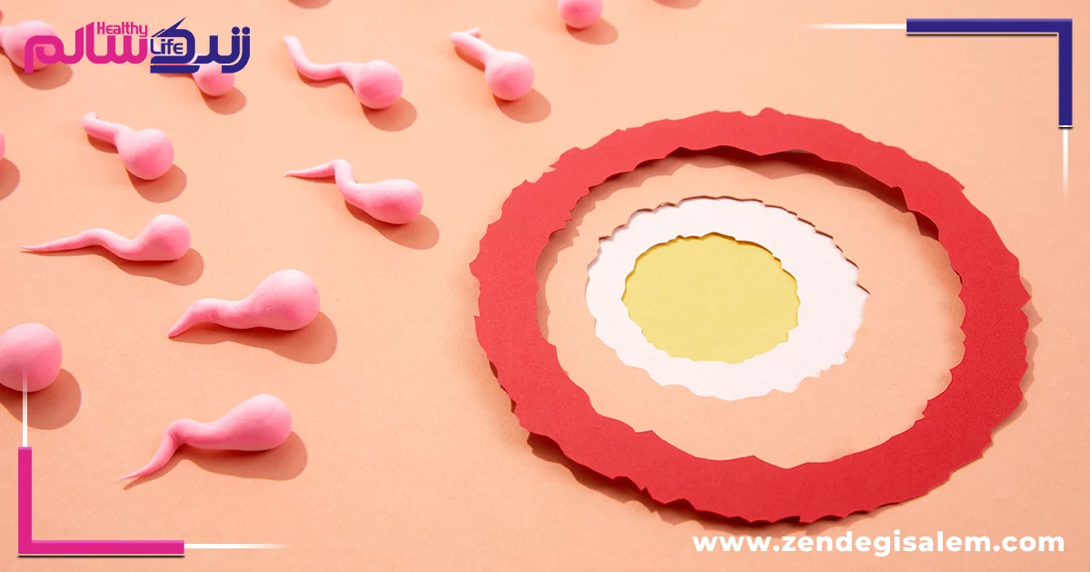 آیا زگیل تناسلی باعث ناباروری می‌شود؟