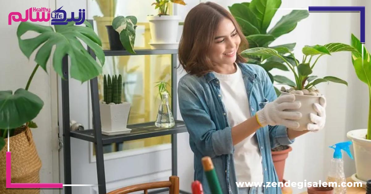 ایدههای سرگرمی خانوادگی را بشناسید!